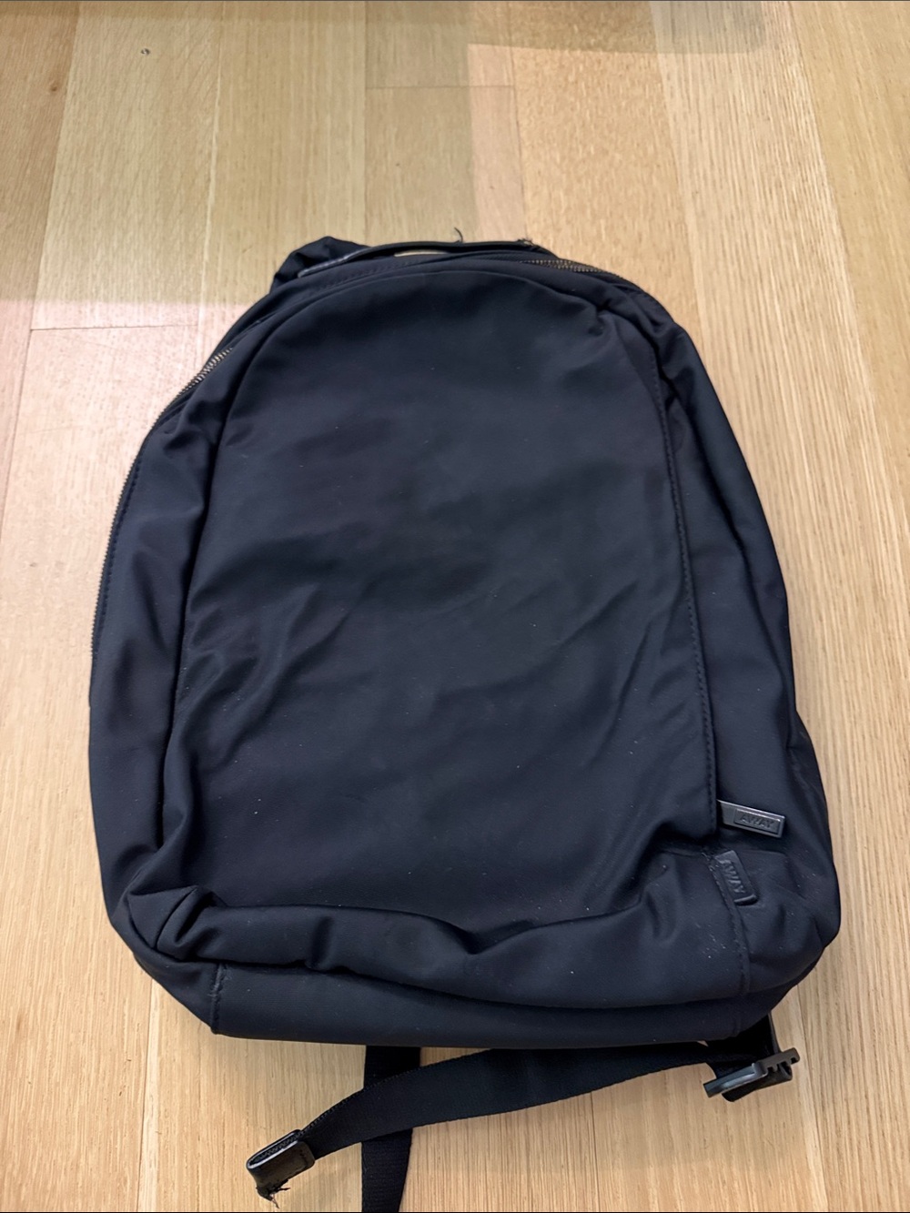 Away Black Everyday Backpack